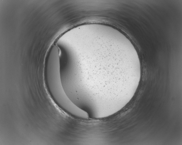 X0000076400853200611031720