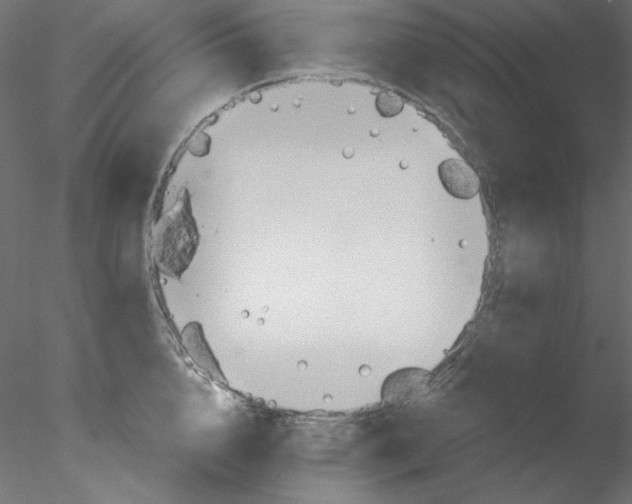 X0000076400856200611031720