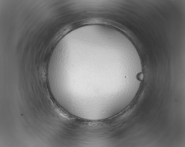 X0000076400857200611031720