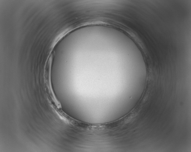 X0000076400858200611031720