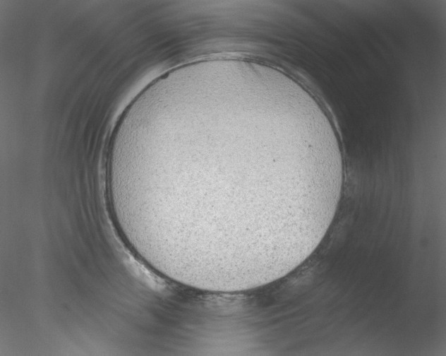 X0000076400859200611031720