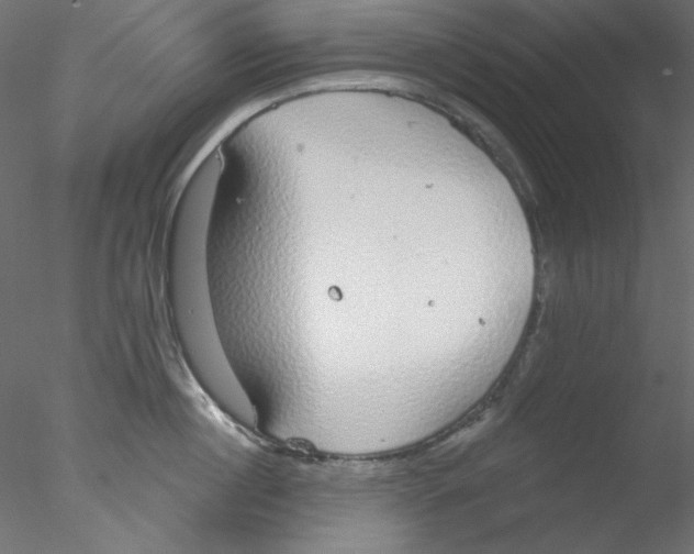 X0000076400860200611031720