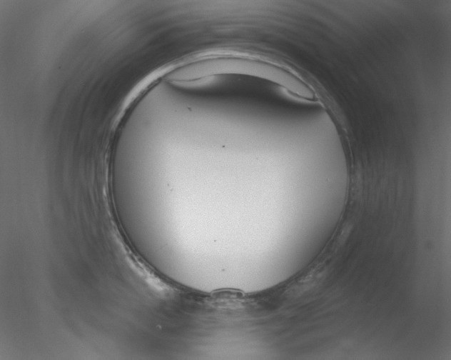 X0000076400862200611031720