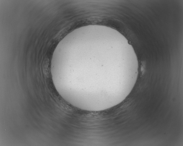 X0000076400867200611031719