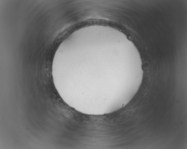 X0000076400870200611031719