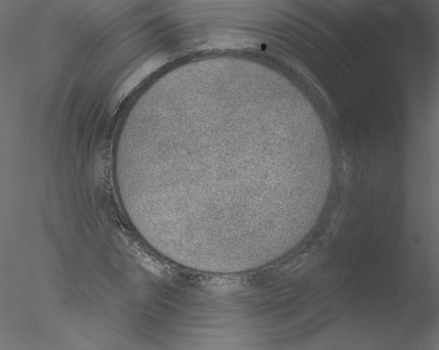 X0000076400874200611031719