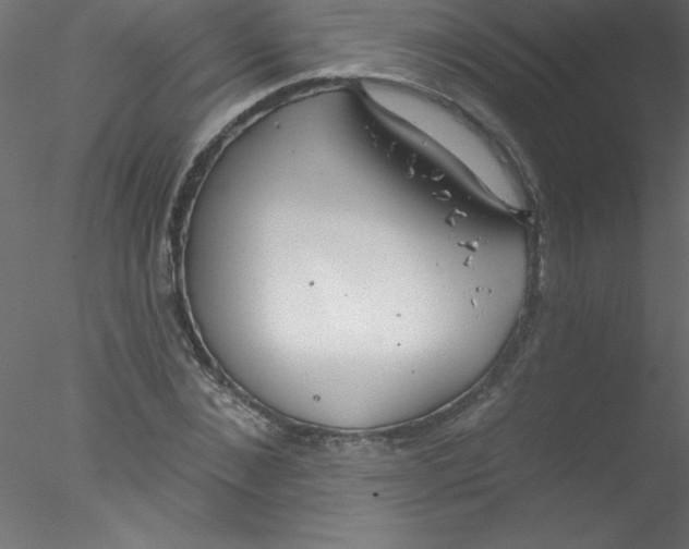 X0000076400876200611031719