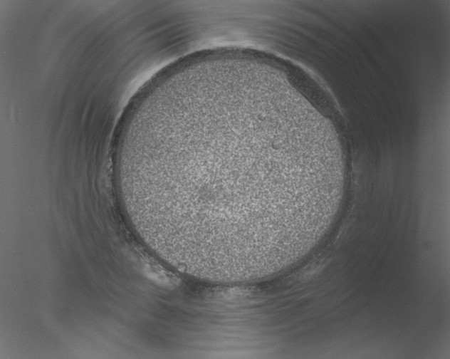 X0000076400879200611031719