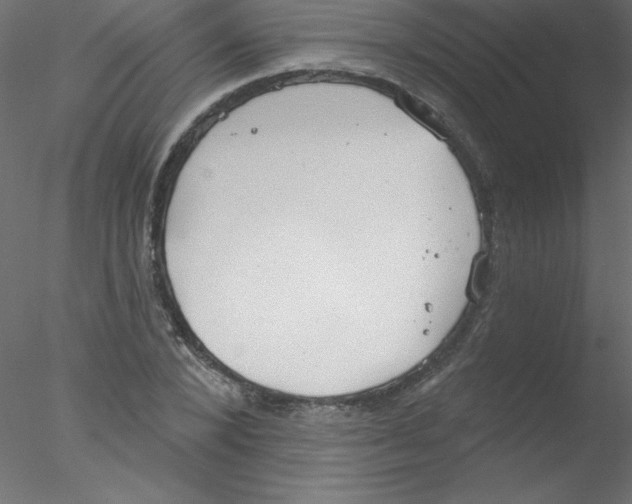 X0000076400880200611031719