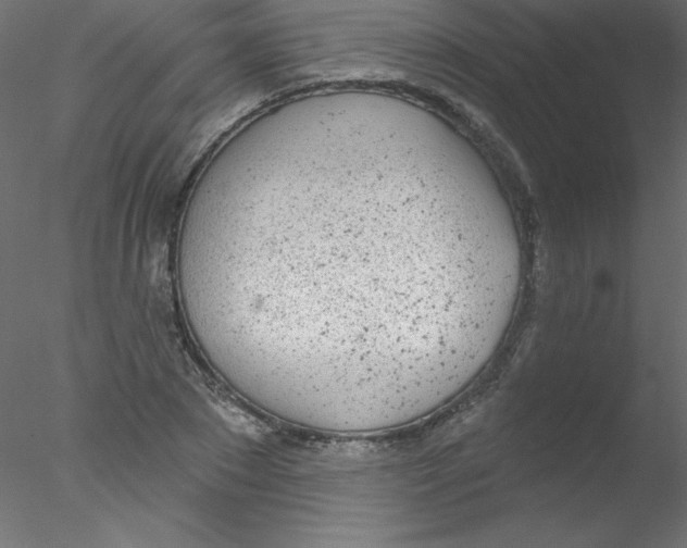 X0000076400881200611031719