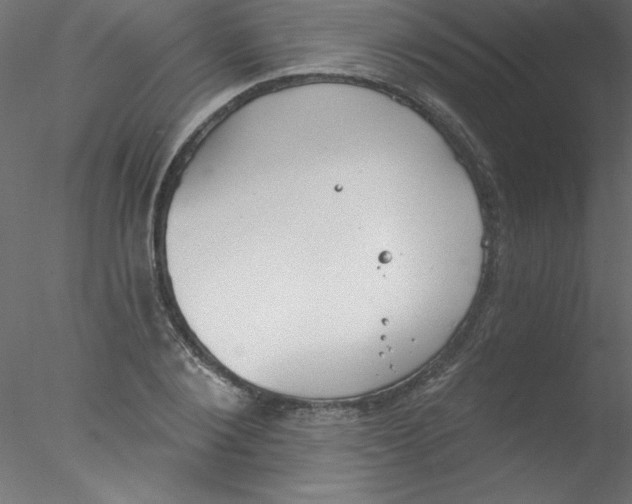 X0000076400884200611031719