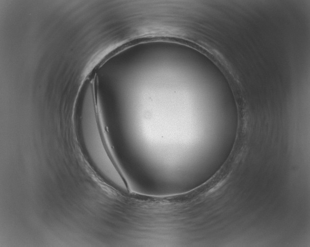 X0000076400885200611031719