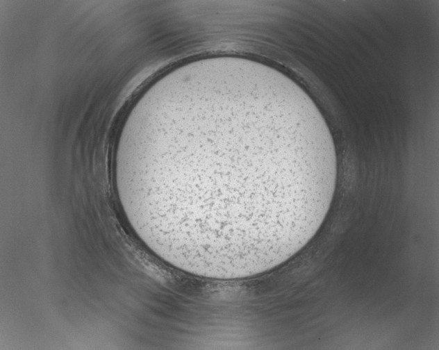 X0000076400886200611031719