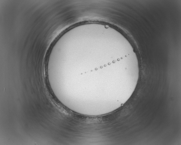 X0000076400887200611031719