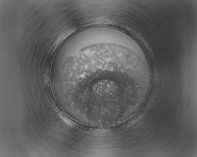 X0000076400889200611031719