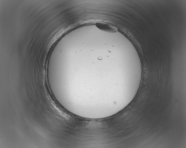 X0000076400890200611031719