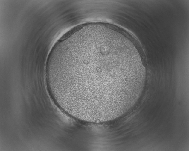 X0000076400895200611031719