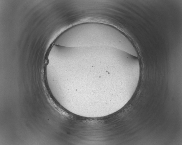 X0000076400896200611031719