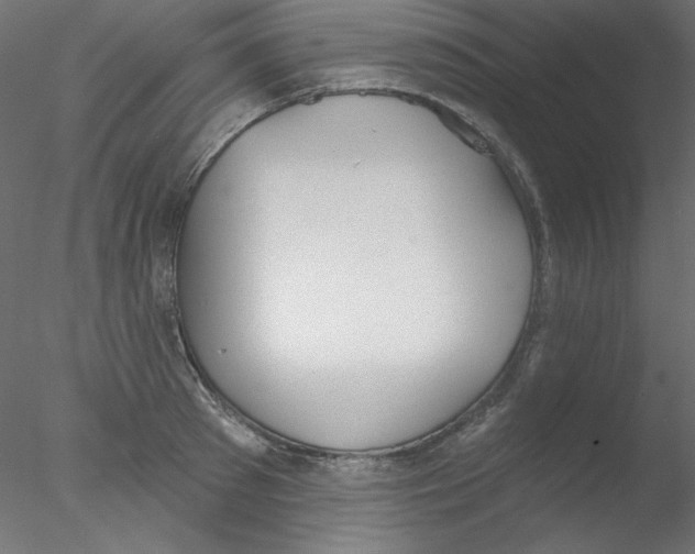 X0000076400897200611031719