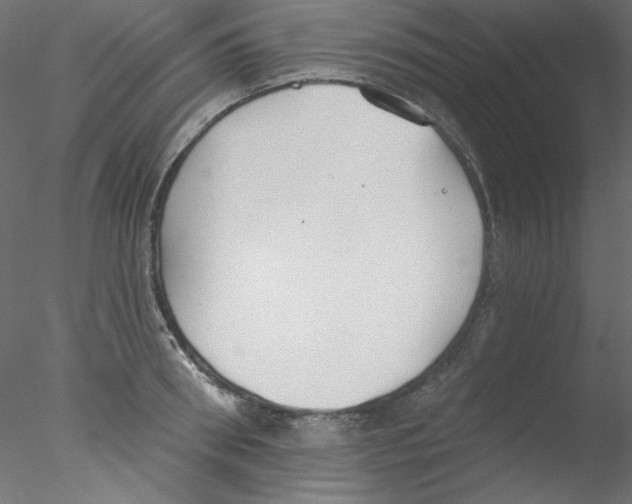 X0000076400898200611031719