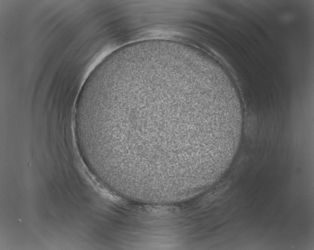 X0000076400899200611031719