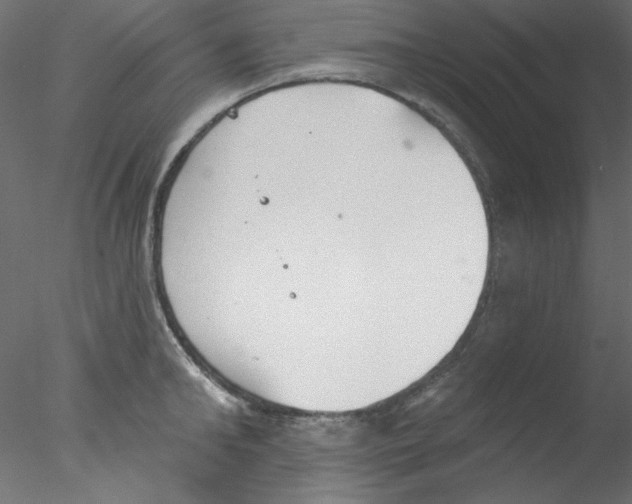 X0000076400902200611031719