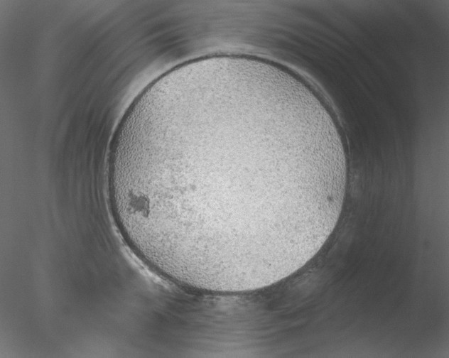 X0000076400903200611031718