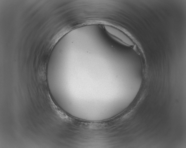 X0000076400905200611031718