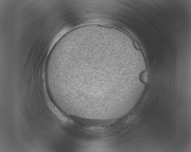 X0000076400907200611031718