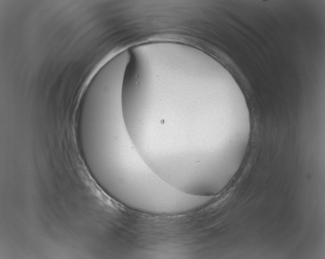 X0000076400908200611031718