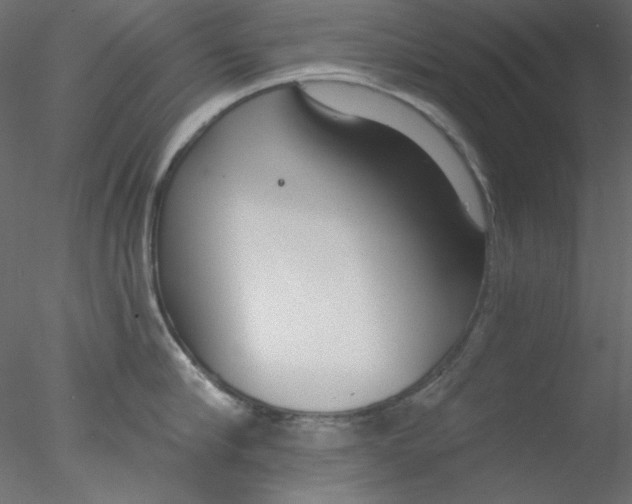 X0000076400910200611031718