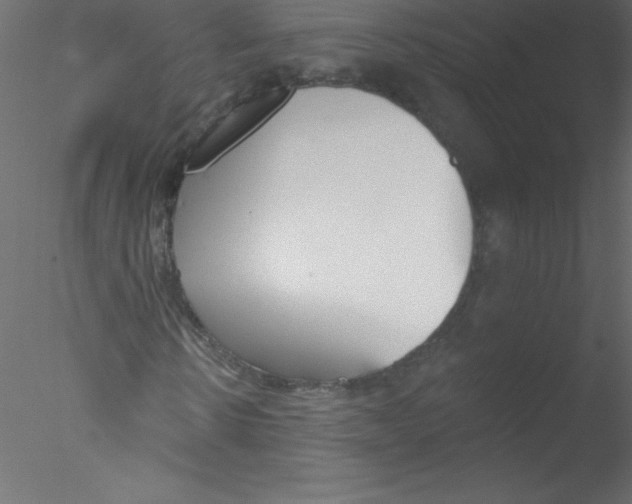 X0000076400914200611031718