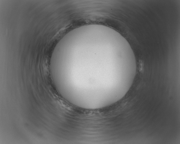 X0000076400915200611031718