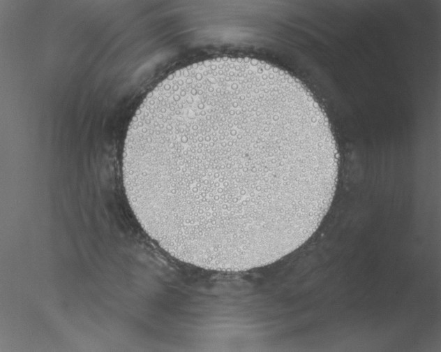 X0000076400918200611031718