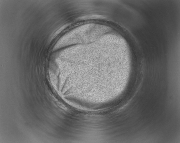 X0000076400921200611031718