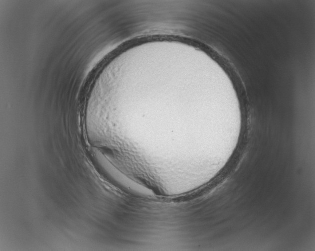 X0000076400925200611031718