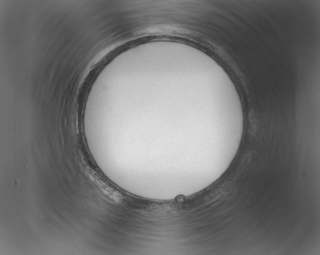 X0000076400931200611031718