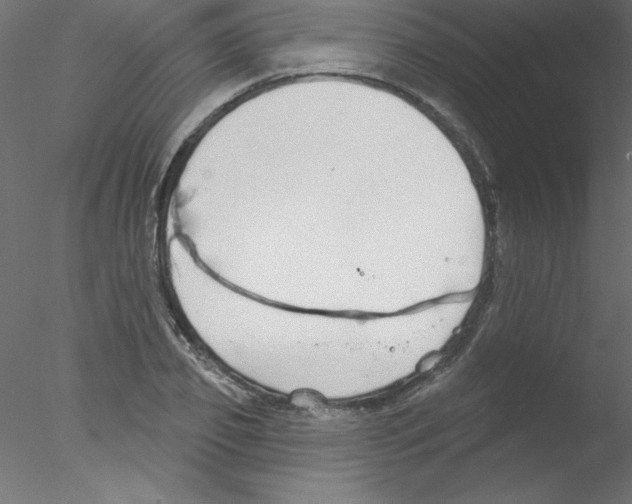 X0000076400933200611031718