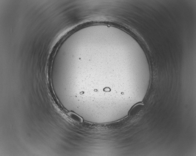 X0000076400935200611031718