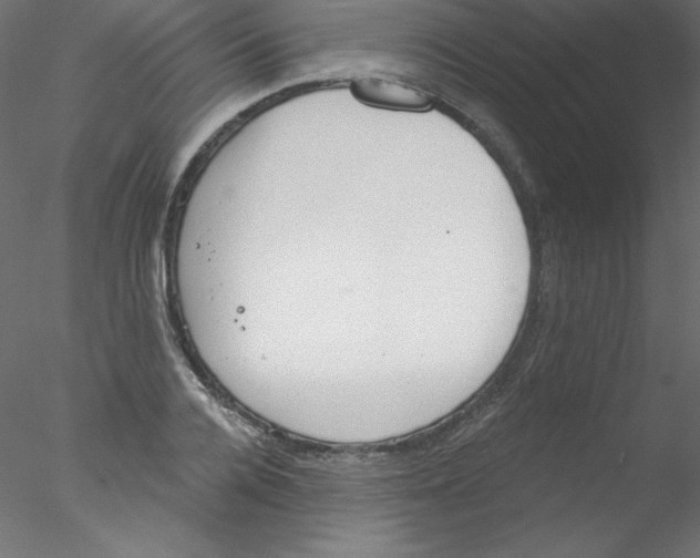 X0000076400936200611031718