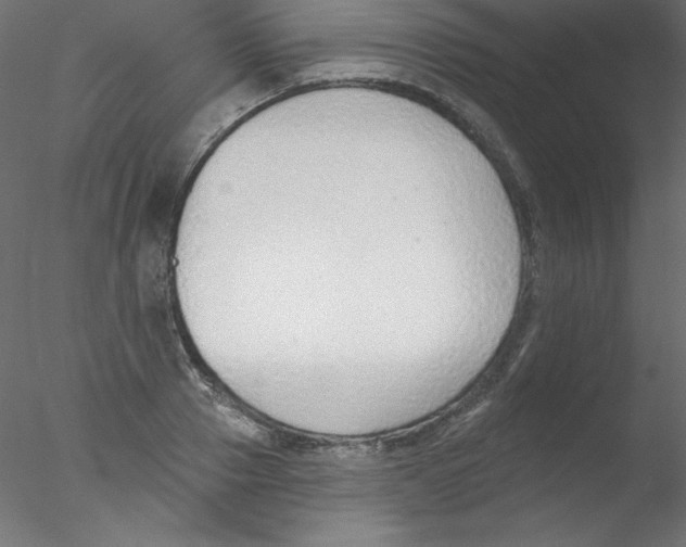 X0000076400937200611031718