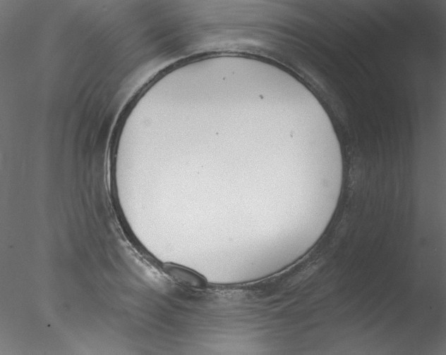 X0000076400940200611031718