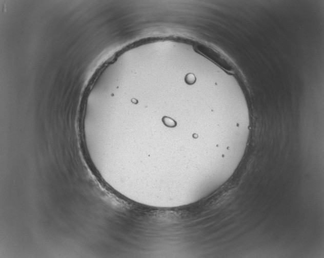 X0000076400943200611031718