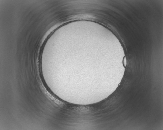 X0000076400947200611031718