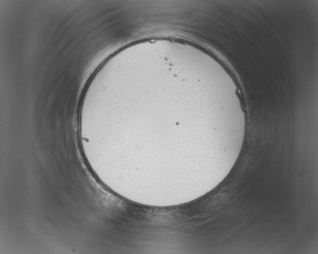 X0000076400951200611031718