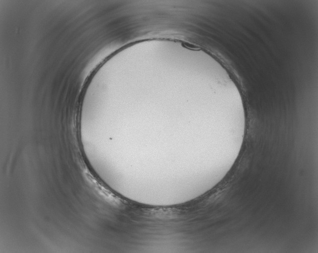 X0000076400952200611031718