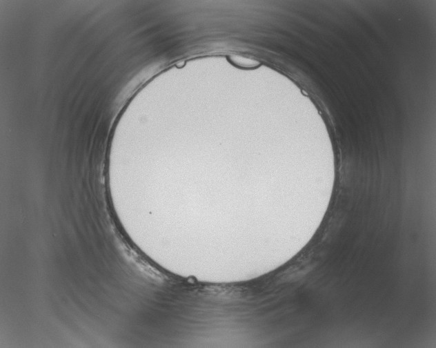 X0000076400954200611031718