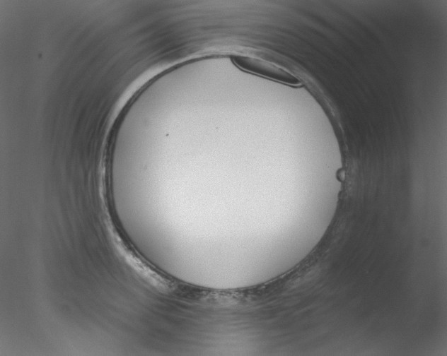 X0000076400955200611031718