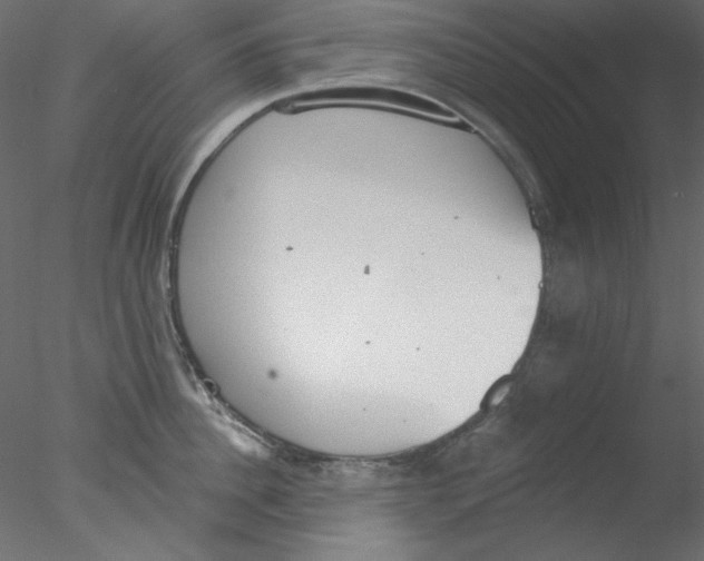 X0000076400956200611031718