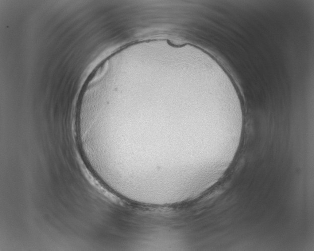 X0000076400957200611031718